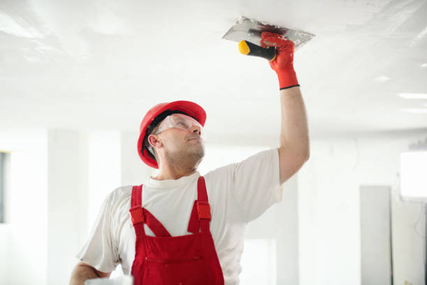 Best Interior Painting  in USA